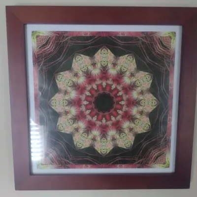 Sale Photo Thumbnail #541: Framed Photograph 'Healing Mandela 28"