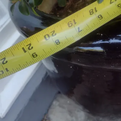 Sale Photo Thumbnail #330: Large Outdoor Natural Plant in Ceramic Planter Pot Choice B