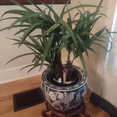 Sale Photo Thumbnail #306: Ceramic Chinoiserie Jardinière with Artificial Plant on a Rosewood Base