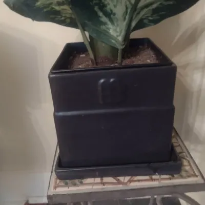 Sale Photo Thumbnail #314: Artificial Plant in Ceramic Pot with Spill Plate