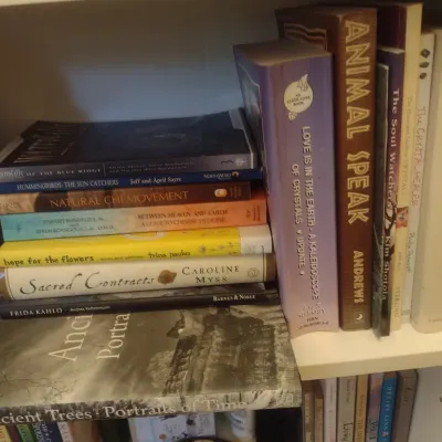 Sale Photo Thumbnail #861: Collection of Non-Fiction Books (Books Only)