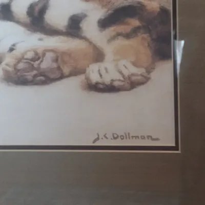 Sale Photo Thumbnail #536: Framed Wildlife Print Prone Tigers by J. C. Dollman