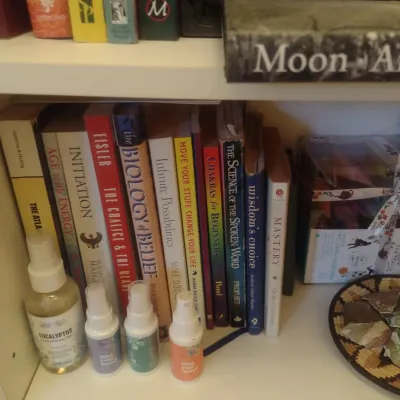 Sale Photo Thumbnail #860: Collection of Non-Fiction Books (Books Only)