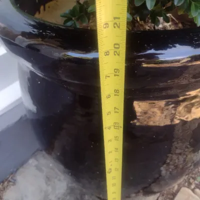Sale Photo Thumbnail #329: Large Outdoor Natural Plant in Ceramic Planter Pot Choice B