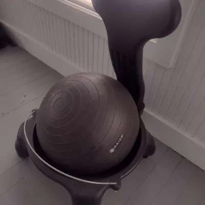 Sale Photo Thumbnail #882: Gaiam Ergonomic Balance Ball Chair