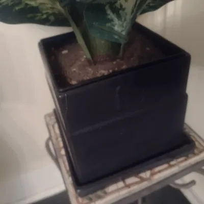Sale Photo Thumbnail #315: Artificial Plant in Ceramic Pot with Spill Plate