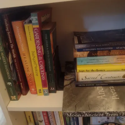 Sale Photo Thumbnail #859: Collection of Non-Fiction Books (Books Only)