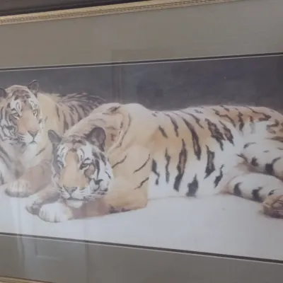 Sale Photo Thumbnail #537: Framed Wildlife Print Prone Tigers by J. C. Dollman