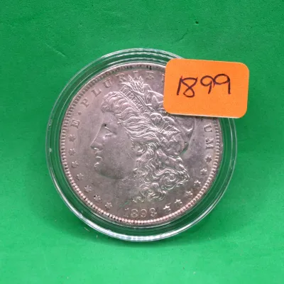 1899 Morgan Dollar
