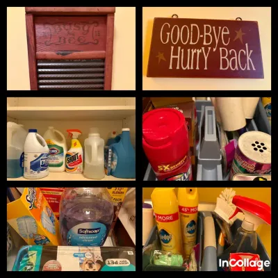 Assortment of Cleaning Products 