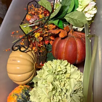 Mystery Holiday Lot - Fall