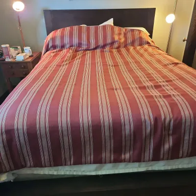 Queen Size Espresso Wood Panel Bed