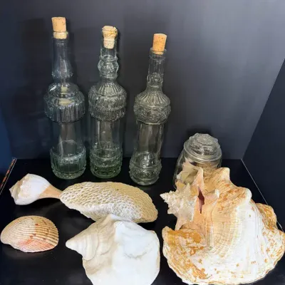 Glass And Shell Lot