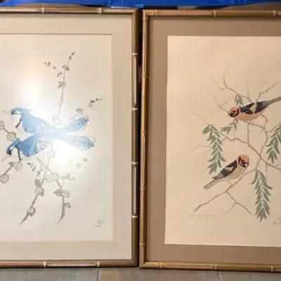 Vintage Faux Bamboo Framed Ornithological Bird Prints – Set of 2