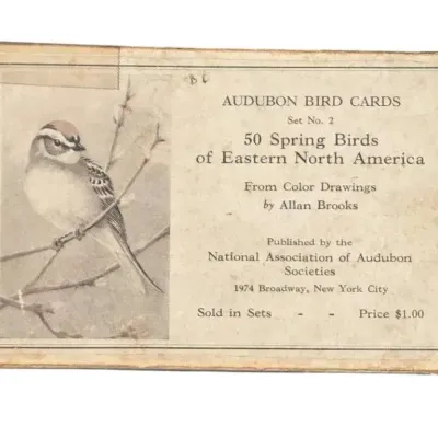 Complete Set Of Early 1900s Audubon Bird ID Cards With Original Box