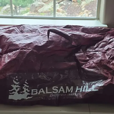 Balsam Hill Christmas Tree 