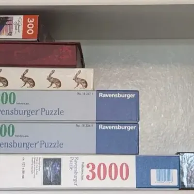 Assorted Puzzles