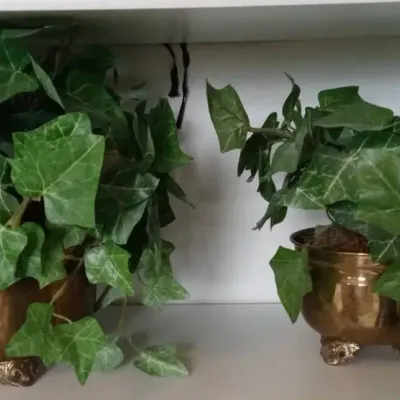 Solid Brass Plant Holders With Artificial Plants