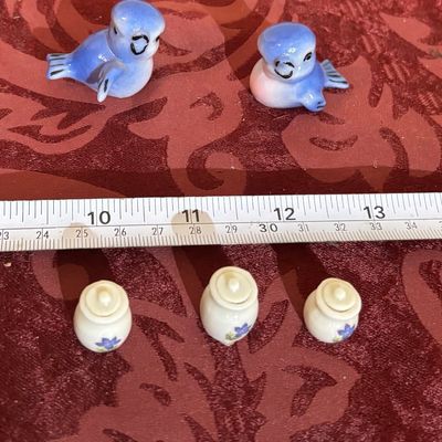 Pretty Little Blue Birds and More