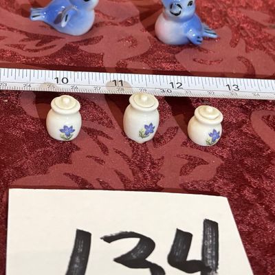 Pretty Little Blue Birds and More