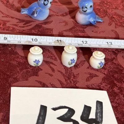 Pretty Little Blue Birds and More
