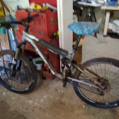 Trek Fuel EX 5 2010 Mountain Bike