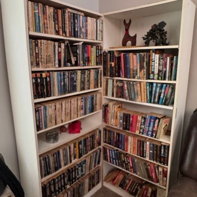 Collection of Mass-Market Paperback Books