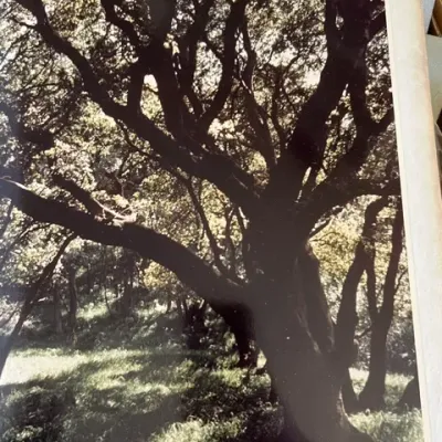 Sale Photo Thumbnail #155