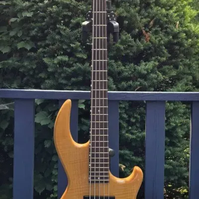 Conklin GT-5 Bass Guitar (LR-1)