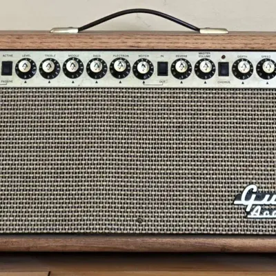 Guild Acoustic Guitar Amp (DR-1)