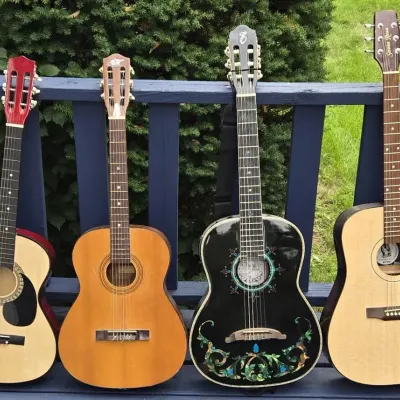 Acoustic Guitars (LR-1)