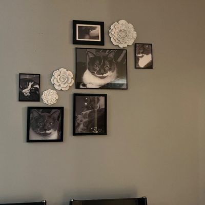 Sale Photo Thumbnail #25