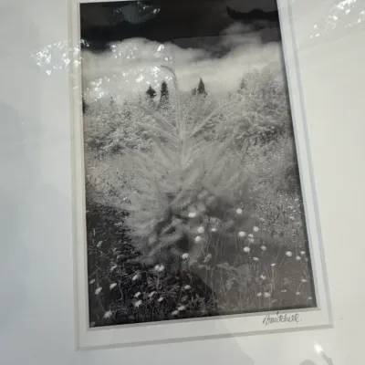 Sale Photo Thumbnail #95