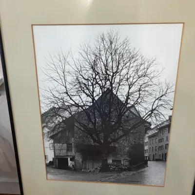 Sale Photo Thumbnail #106