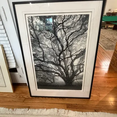 Sale Photo Thumbnail #111