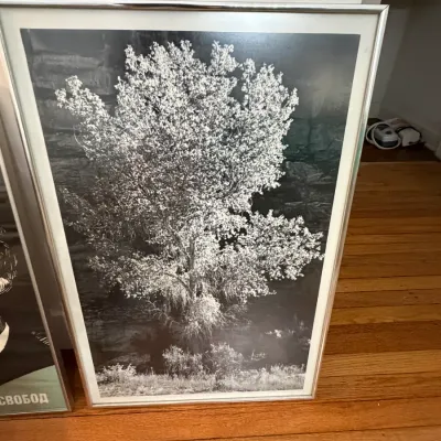 Sale Photo Thumbnail #125