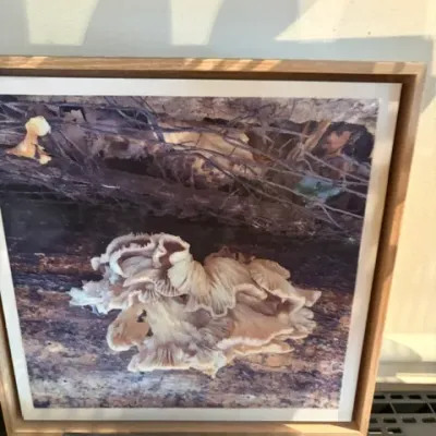 Sale Photo Thumbnail #25