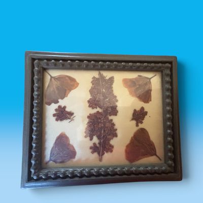 Sale Photo Thumbnail #229