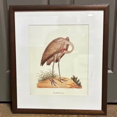 John Abbot’s Birds of Georgia, Framed Print: Sandhill Crane