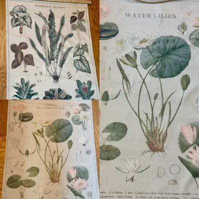 (3) Beautiful Botanical Wall Hangings 