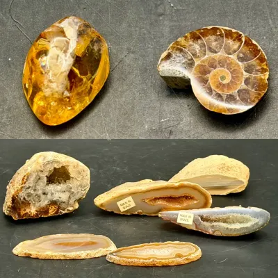 Mineral Collection 