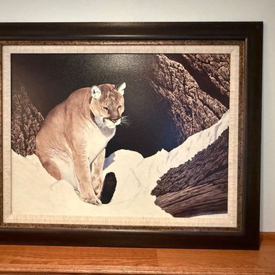 Sale Photo Thumbnail #51: .