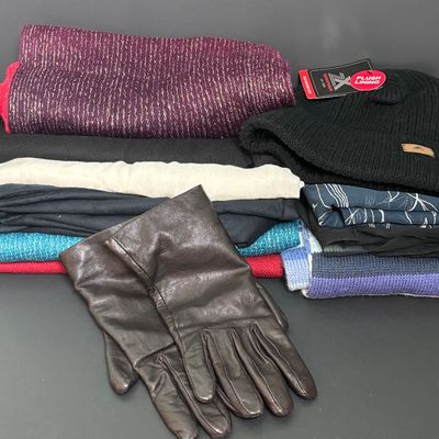 LOT 144: Cara by Gates Cashmere Lined Leather Gloves, Zeroxposur Plush Lining Cold Weather Hat & Scarves