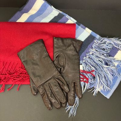LOT 144: Cara by Gates Cashmere Lined Leather Gloves, Zeroxposur Plush Lining Cold Weather Hat & Scarves