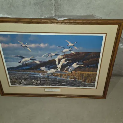 Sale Photo Thumbnail #219