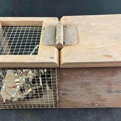 Prop Prank Squirrel Trap Piratical Joke Animal Trap