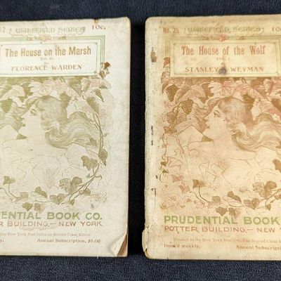 Sale Photo Thumbnail #1022: Antique House Of The Wolf & House On Marsh Books