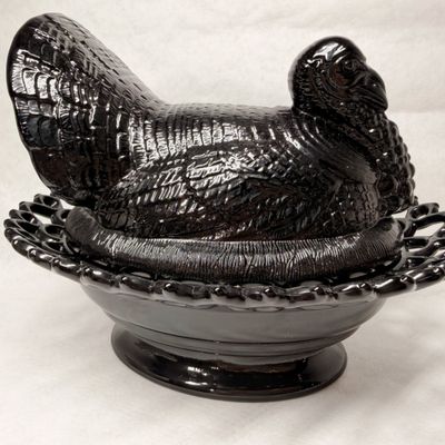 MOSSER BLACK TURKEY ON NEST