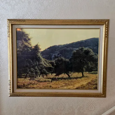 Sale Photo Thumbnail #91