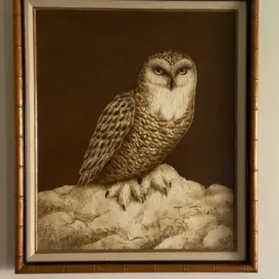 Framed Owl Wildlife Print